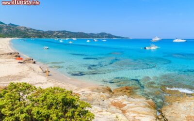 veduta_della_spiaggia_di_saleccia_vicino_a_saint_florent_corsica_francia-1