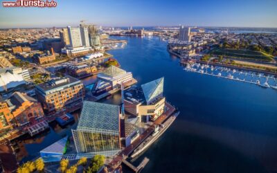 veduta_panoramica_del_porto_di_baltimora_maryland_dallalto
