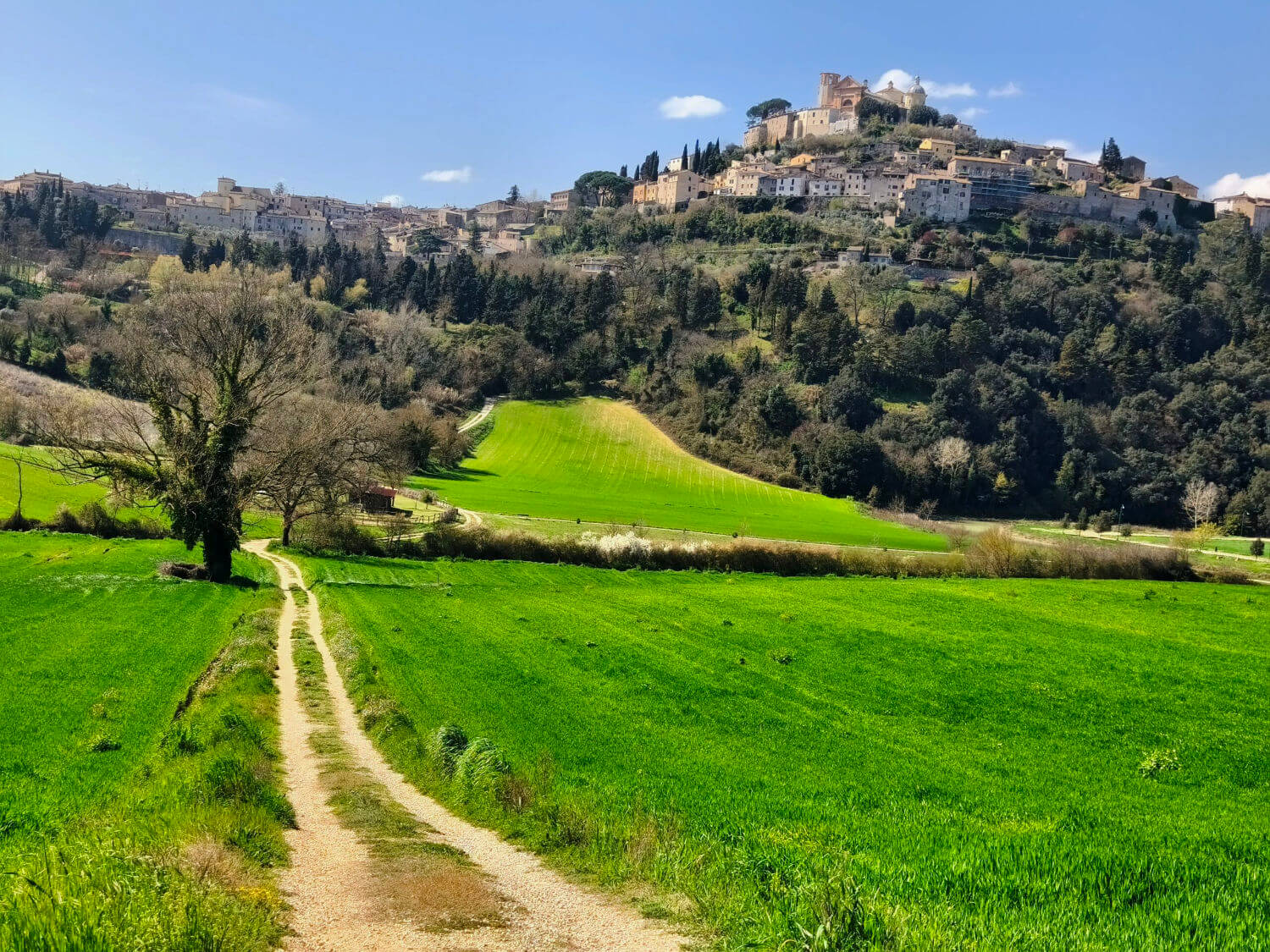 Amelia sul Cammino di Germanico in Umbria Amelia sul Cammino di Germanico in Umbria