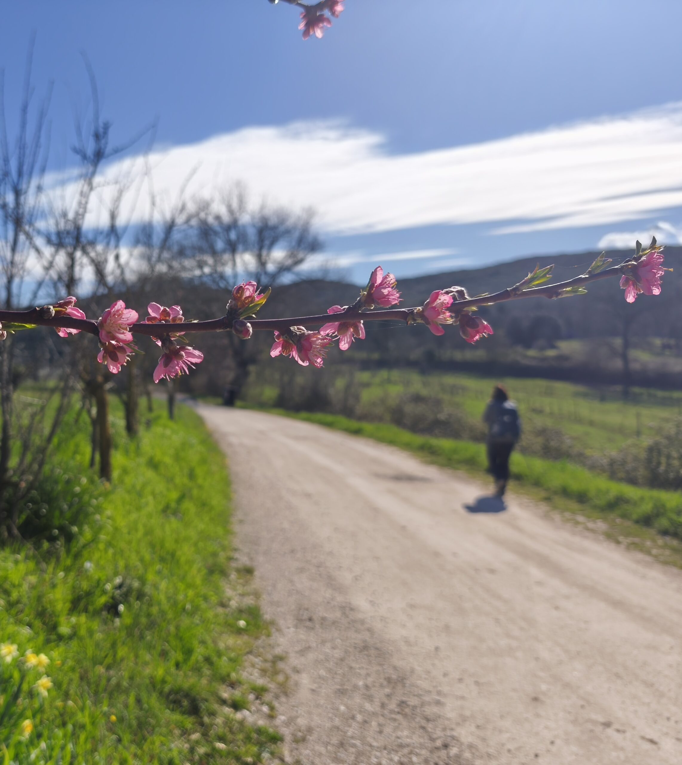 Cammino di Germanico Amelia Umbria