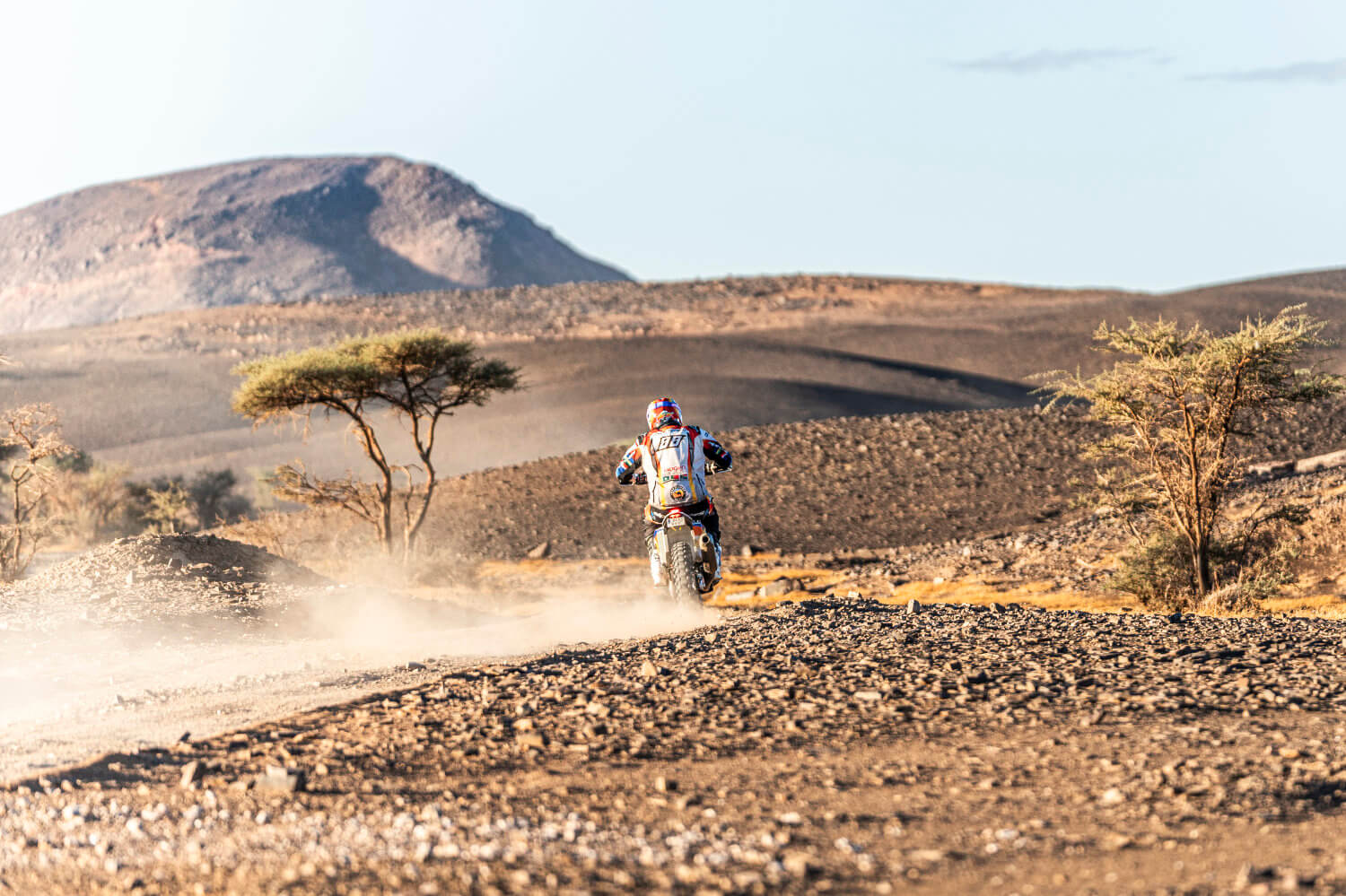 FenekRally marocco