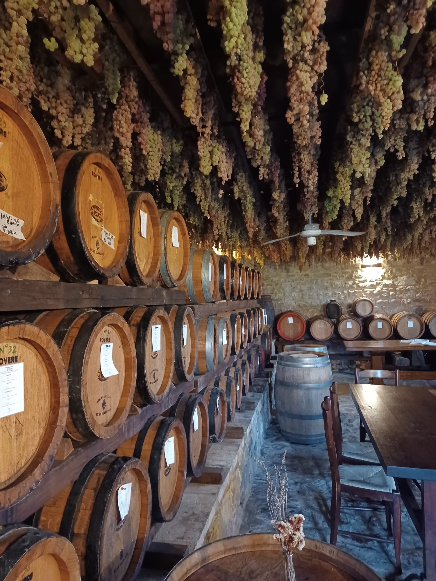 Botti contenenti Vina santo siamo a Citta di Castello in Umbria