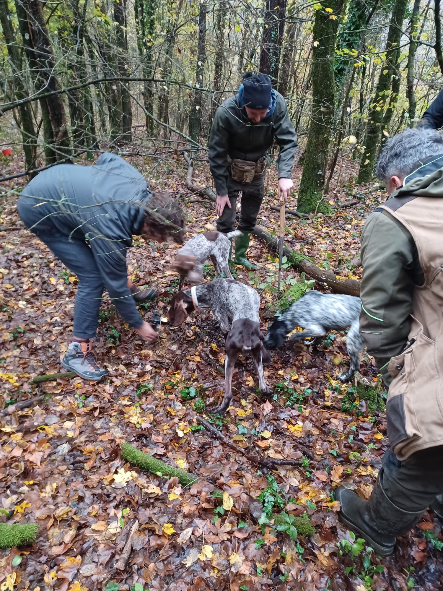 Escursione alla ricerca dei tartufi