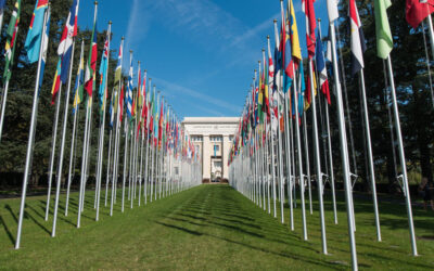 Palais des Nations Allée des Drapeaux Ginevra