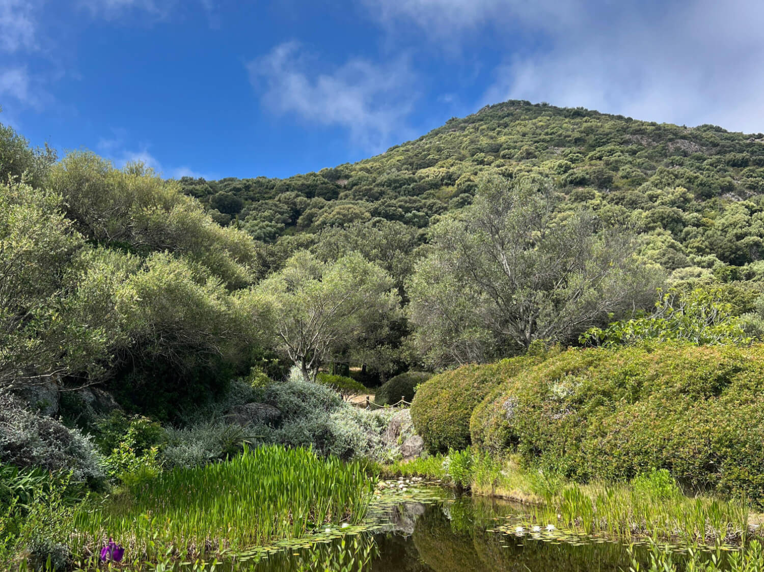 Parc de Saleccia Corsica