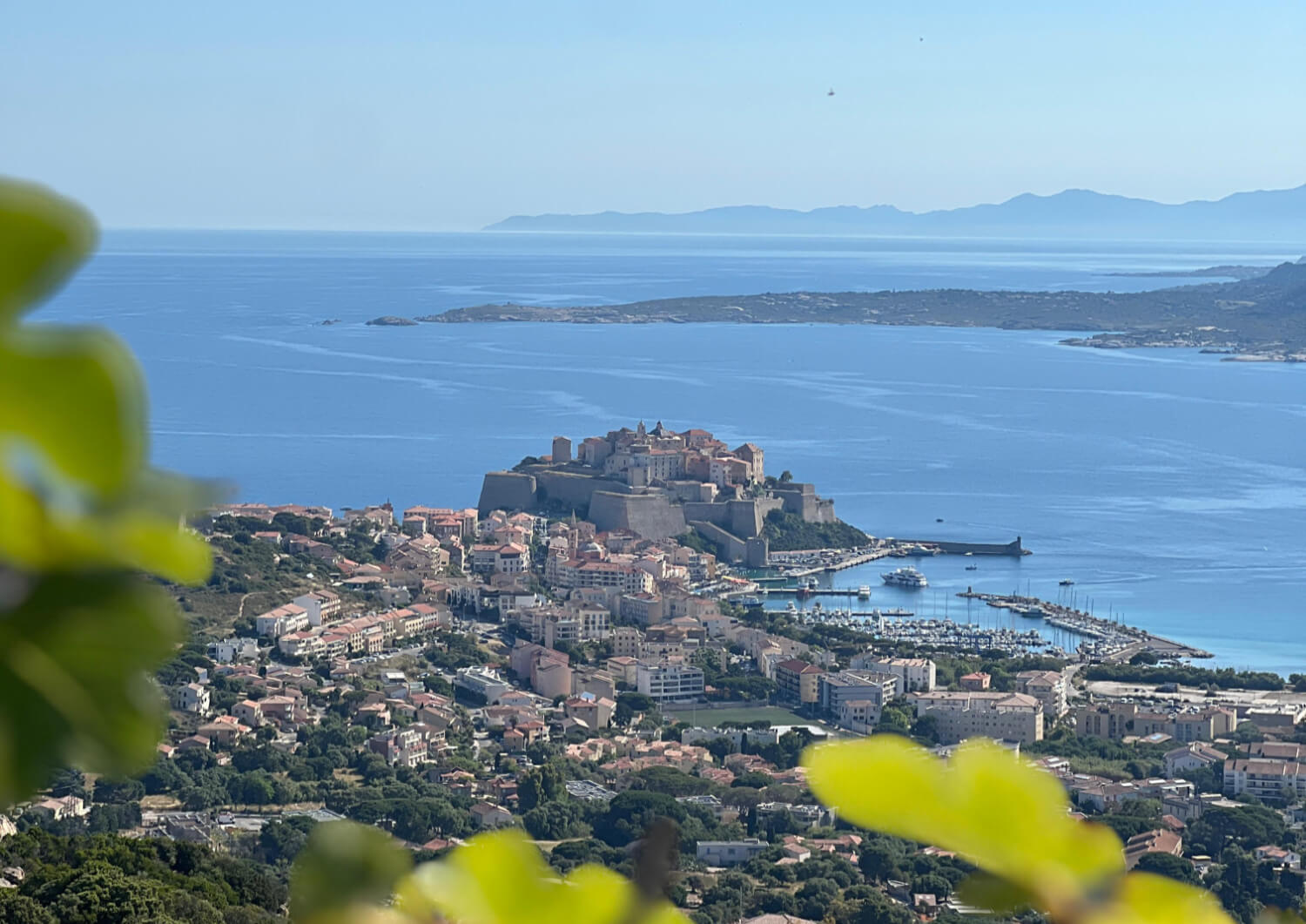 calvi corsica