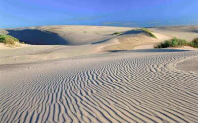 Dune si sabbia nella Polonia del nord