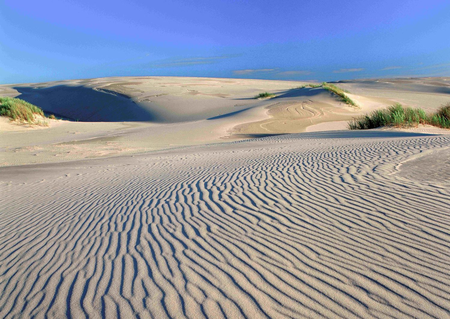 Słowiński PN 07F_So_0157 Dune si sabbia nella Polonia del nord