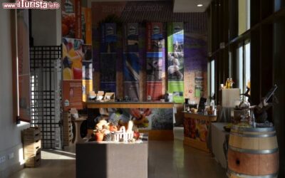 spazi_esposizione_ufficio_turismo_carpentras